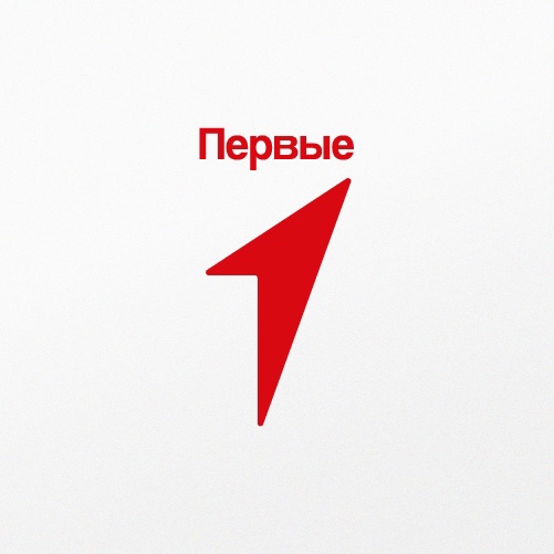 «Фестиваль Движения Первых» . «Фестиваль Движения Первых» .